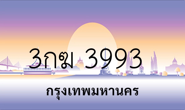 3กฆ 3993